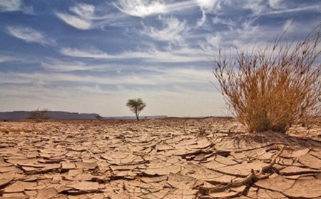 CABO VERDE QUER QUE PAÍSES CUMPRAM METAS CLIMÁTICAS ESTABELECIDAS