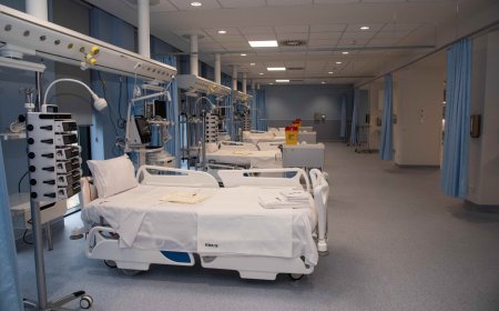 REQUISITOS PARA ASSISTÊNCIA MÉDICA GRATUITA EM HOSPITAIS E UNIDADES SANITÁRIAS DAS FAA