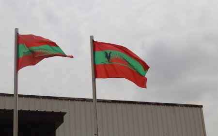 UNITA ALERTA PARA FRAGILIDADES E APELA ACÇÃO URGENTE NO DIA MUNDIAL DA SAÚDE