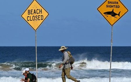 ATAQUE DE TUBARÃO NA AUSTRÁLIA FAZ UMA MORTE E DEIXA UM HOMEM GRAVEMENTE FERIDO