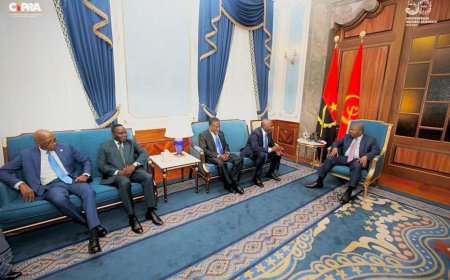 PRESIDENTE DA REPÚBLICA RECEBE LIDER DO PRA-JA EM AUDIÊNCIA