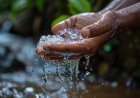 DISPONIBILIDADE DE ÁGUA RENOVÁVEL CAI 7% NOS ÚLTIMOS DEZ ANOS