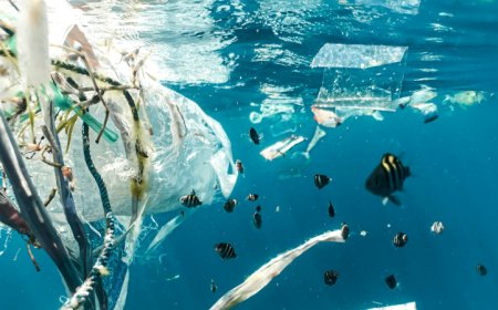 “SUJOS’’ OU ‘‘EXTREMAMENTE SUJOS”: CLASSIFICAÇÃO DE 46% DOS AMBIENTES AQUÁTICOS DO MUNDO