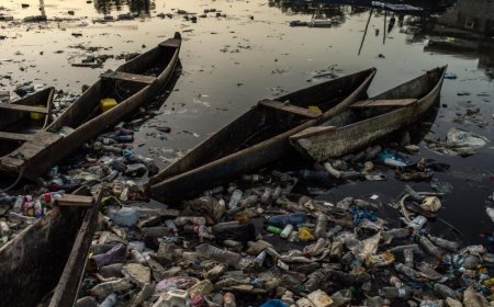 “SUJOS’’ OU ‘‘EXTREMAMENTE SUJOS”: CLASSIFICAÇÃO DE 46% DOS AMBIENTES AQUÁTICOS DO MUNDO