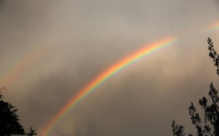 CIDADÃOS OBRIGADOS A ADIAR COMPROMISSO LABORAL DEVIDO A CHUVA