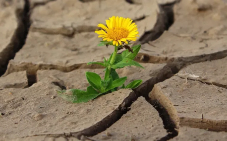 CRÓNICA DE FÉ, LUTA E RESILIÊNCIA