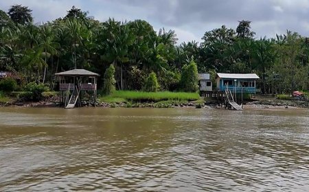 ESTUDO AFIRMA QUE PAÍSES DA LUSOFONIA SOFREM IMPACTOS CRESCENTES DA DEGRADAÇÃO AMBIENTAL