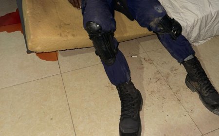 EM CURSO INQUÉRITO SOBRE DENÚNCIAS DE SUPOSTOS MAUS-TRATOS A EFECTIVOS DA POLÍCIA NO CUNENE