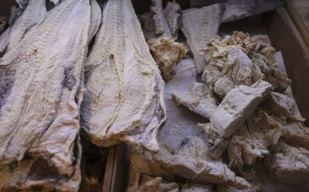 PORTUGAL LIDERA CORRIDA DE EXPORTAÇÃO DE BACALHAU SALGADO COM MAIS DE 81.000 TONELADAS