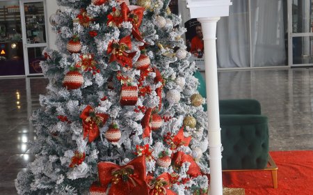 NATAL MAGRO: JOVENS DESCONTENTES COM O CUSTO DE VIDA ATRIBUEM NOTA NEGATIVA À ESTA QUADRA FESTIVA