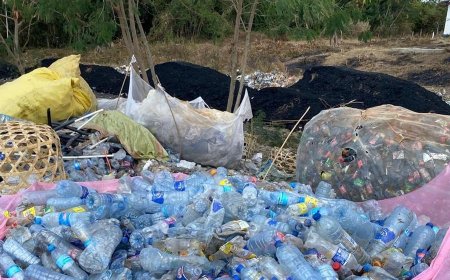 ESPECIALISTA DA ONU ALERTA PARA ALTERAÇÕES CLIMÁTICAS QUE AGRAVAM RISCOS PARA OS DIREITOS HUMANOS