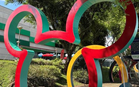 DISNEY PAGARÁ 10 MILHÕES DE DÓLARES PARA ENCERRAR PROCESSO POR VIOLAÇÃO DE PRIVACIDADE INFANTIL