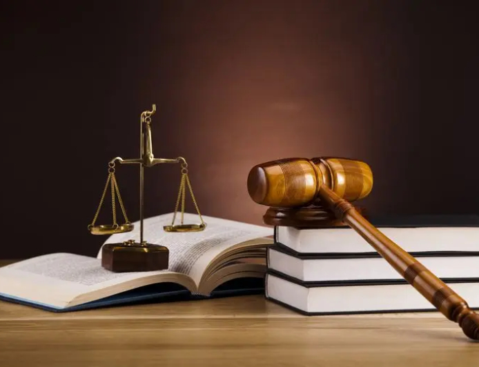 PARECER JURÍDICO SOBRE POSSÍVEIS CRIMES QUE PODERÃO SER IMPUTADOS AOS SUPOSTOS AGRESSORES DO CASO BELMA