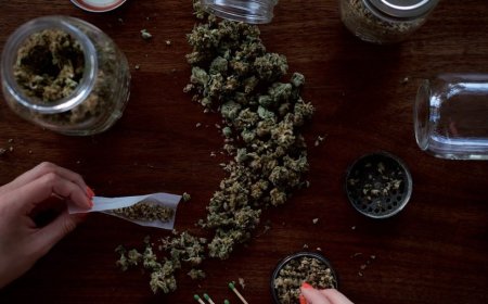 ESTUDO REVELA DOSE SEMANAL DE MACONHA QUE AUMENTA RISCO DE DESENVOLVER TRANSTORNOS