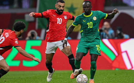 GRANDE FINAL ENTRE LEÕES