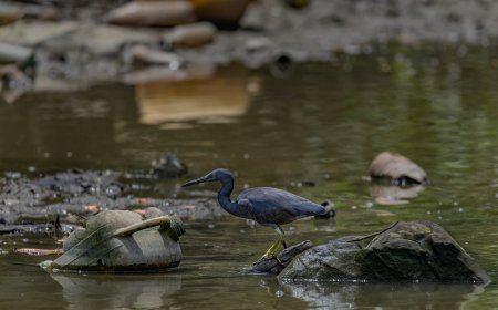 MUNDO ENTROU NA ERA DA FALÊNCIA HÍDRICA GLOBAL DIZ ESTUDO