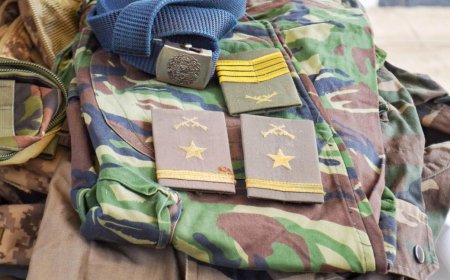 FAZIAM-SE PASSAR POR EFECTIVOS DA POLÍCIA, SIC E FAA: DETIDOS  PRESUMÍVEIS ASSALTANTES ENVOLVIDOS NO ROUBO DE MAIS DE 85 MILHÕES DE KWANZAS