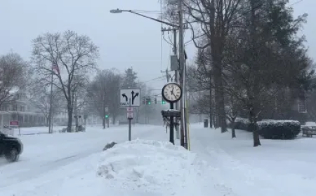 CENTRAL PARK QUEBRA RECORDE DE QUEDA DE NEVE DE 121 ANOS