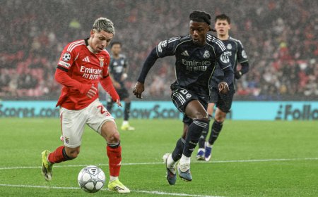 BENFICA E REAL MADRID REENCONTRAM-SE EM MENOS DE UM MÊS