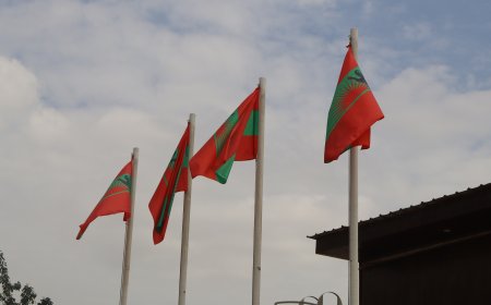 UNITA DENUNCIA CONDIÇÕES “DESUMANAS” EM ESTALEIROS DA PAN CHINA APÓS MORTE DE CINCO TRABALHADORES