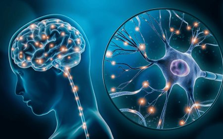 PESQUISADORES EXPLICAM POR QUE ALGUNS CÉREBROS NÃO CONSEGUEM SUPERAR A PERDA (LUTO)