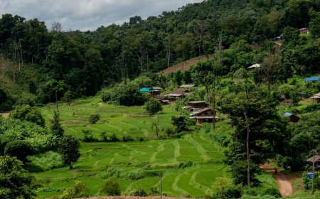 FAO DIZ QUE 35% DAS TERRAS DO MUNDO TÊM POSSE FORMALMENTE DOCUMENTADA
