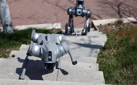 CÃES-ROBÔ E DRONES TRANSFORMAM ESTAÇÕES DE METRO EM HEFEI