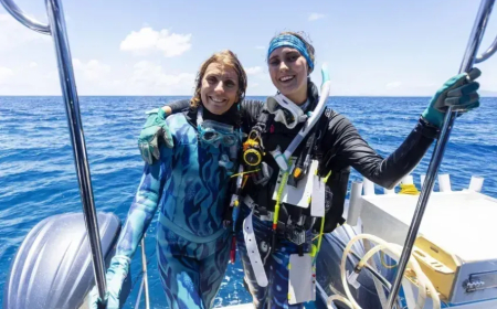 MÃE E FILHA DESCOBREM MAIOR COLÔNIA DE CORAIS DO MUNDO NA COSTA AUSTRALIANA