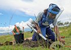 ANGOLA E REINO UNIDO REFORÇAM COOPERAÇÃO NA ELIMINAÇÃO DE MINAS TERRESTRES