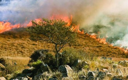 QUEIMADAS EM ICOLO E BENGO AMEAÇAM INFRAESTRUTURAS ESTRATÉGICAS