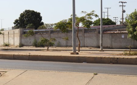 ANGOLA NOS HOLOFOTES: SOCIEDADE ANALISA IMPACTO DA VISITA DO PAPA LEÃO XIV AO PAÍS