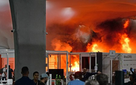 COP 30: PAVILHÃO DOS PAÍSES EM CHAMAS