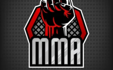 ICOLO E BENGO ACOLHE 1.º CAMPEONATO PROVINCIAL DE MMA