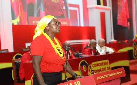 OMA ELEGE NOVO SECRETARIADO EXECUTIVO NACIONAL NA 1ª REUNIÃO ORDINÁRIA DO COMITÉ NACIONAL