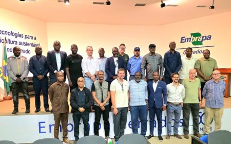 ANGOLA E BRASIL REFORÇAM COOPERAÇÃO AGRÍCOLA COM FOCO NA PRODUÇÃO DE SOJA