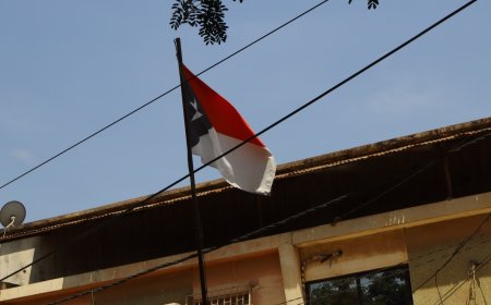 PADAA REÚNE FORÇAS PARA CONGRESSO EXTRAORDINÁRIO EM MARÇO