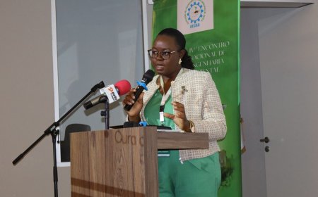 ENGENHARIA AMBIENTAL EM FOCO: ESPECIALISTAS DEBATEM SOLUÇÕES SUSTENTÁVEIS PARA ANGOLA