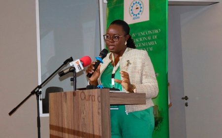 ENGENHARIA AMBIENTAL EM FOCO: ARQUITETA DEFENDE IMPLEMENTAÇÃO DE POLÍTICAS QUE PRIORIZEM A PRESERVAÇÃO AMBIENTAL.