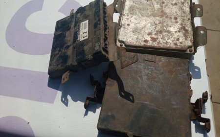 CIDADÃOS DETIDOS  POR FURTO DE PLACAS ELECTRÓNICAS DE VIATURAS