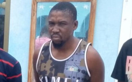 FREDE REGRESSA À CADEIA APÓS TRÊS MESES EM LIBERDADE