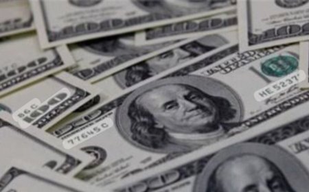 INVESTIMENTO CHINÊS EM ANGOLA ULTRAPASSA 27 MILHÕES DE DÓLARES E REFORÇA APOSTA NA AQUICULTURA