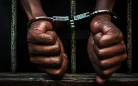 PRESIDENTE CONCEDE INDULTO A 310 RECLUSOS NO ÂMBITO DO 4 DE ABRIL