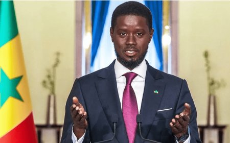 PRESIDENTE DO SENEGAL SANCIONA LEI QUE AGRAVA PENAS PARA HOMOSSEXUALIDADE