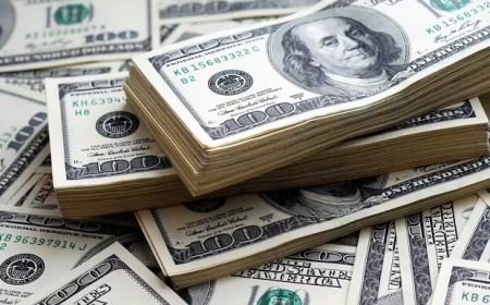 BRASILEIRA OFERECE 3 MILHÕES DE DÓLARES A QUEM ACEITAR CASAR COM ELA