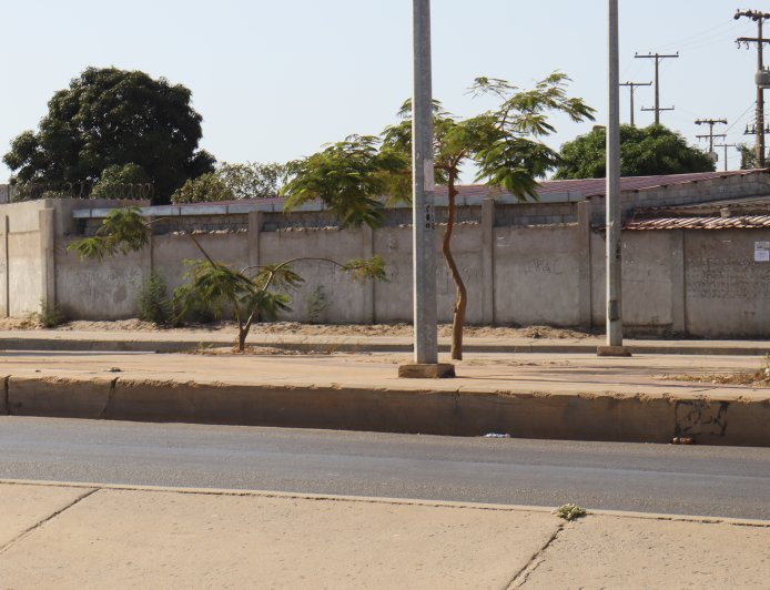 ANGOLA NOS HOLOFOTES: SOCIEDADE ANALISA IMPACTO DA VISITA DO PAPA LEÃO XIV AO PAÍS