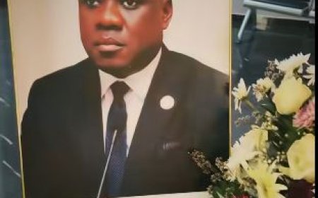 PRESIDENTE DO GRUPO PARLAMENTAR DA UNITA DESTACA FEITOS DO DEPUTADO ELISEU MONTEIRO