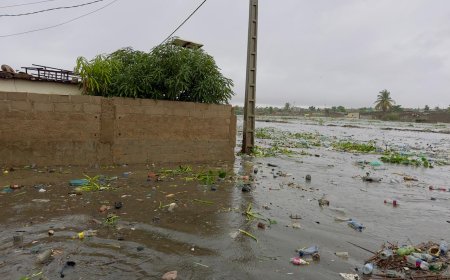 “ABRIL CHUVAS MIL”: FENÓMENO FAZ VÍTIMAS EM LUANDA E BENGUELA