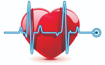 ENTRE AVANÇOS E DESAFIOS: DIA MUNDIAL DA SAÚDE EXPÕE FERIDAS E ESPERANÇAS EM ANGOLA