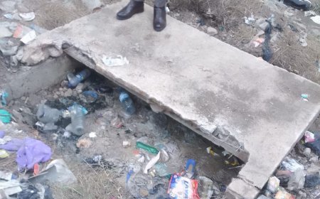 APÓS DISCUSSÃO POR DINHEIRO: JOVEM MATA E OCULTA CADÁVER DA NAMORADA