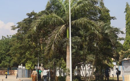 ENTRE SACRIFÍCIOS E SONHOS: O RETRATO DA JUVENTUDE LUANDENSE  